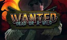 Wanted Dead or A Wild
